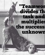 Image result for Work Motivational Teamwork Funny Quotes