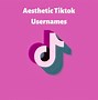 Image result for Username Ideas for Tik Tok