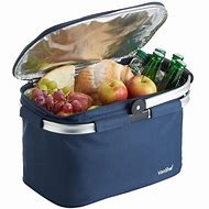 Image result for Food Cooler Bag