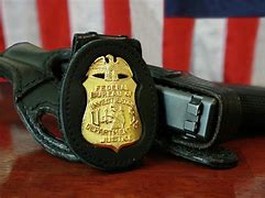 Image result for FBI Badge and Gun