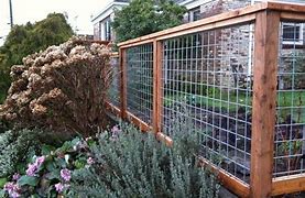 Image result for DIY Backyard Privacy Fence