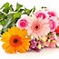 Image result for Flower Images for Mother