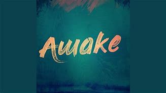 Image result for Awake Woke