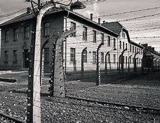 Image result for Concentration Camp Liberation