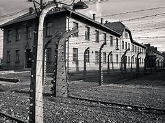 Image result for Auschwitz Documentary Film
