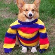Image result for Tate AHS Sweater