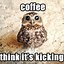 Image result for Coffee Break Funny Cartoon Memes