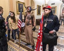 Image result for Capitol Riot Shaman