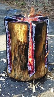 Image result for Tree Stump DIY Projects