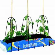 Image result for Plant Support Canes