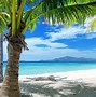 Image result for Paradise Beach Photography
