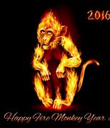 Image result for Year of the Fire Monkey