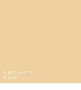 Image result for Ginger Paint Color
