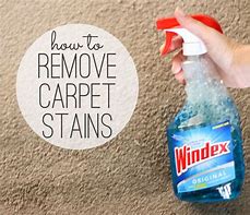 Image result for How to Remove Carpet