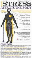 Image result for Stress Health Effects