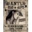Image result for Wanted Flyer