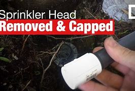 Image result for Sprinkler Head Cap