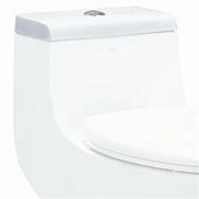 Image result for Toilet Lid
