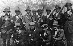 Image result for Irish Independence War
