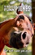 Image result for Clean Funny Jokes Humor