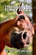 Image result for Very Funny Jokes Humor