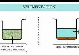 Image result for Plant Sediment