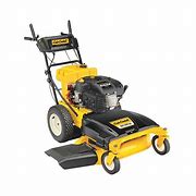 Image result for Cub Cadet Walk Behind Mowers