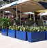 Image result for Large Outdoor Patio Planters