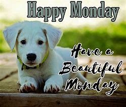 Image result for Happy Monday Quotes
