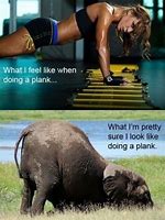 Image result for Fitness Puns