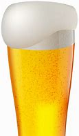 Image result for Pint of Lager