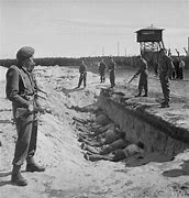 Image result for Death Camp Guards Executed