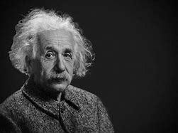 Image result for Einstein Senior Moments