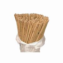 Image result for Plant Cane Supports