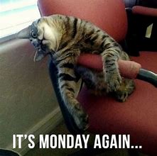 Image result for It's Monday Again Funny