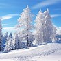 Image result for In the Snow