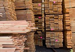Image result for Lumber Safcol