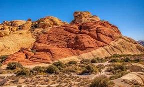 Image result for Donielle Cousins in Nevada