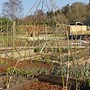 Image result for Rustic Metal Plant Supports