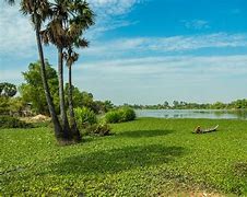 Image result for Cambodia Natural