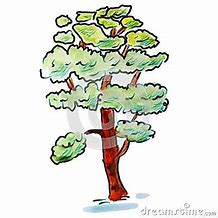 Image result for Cedar Tree Cartoon