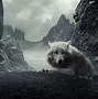 Image result for Wolf Background Wallpaper 4K