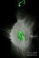Image result for Water Balloon Popping