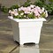 Image result for Square Wooden Planters Outdoor