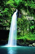 Image result for Fiji Waterfall Shower Head