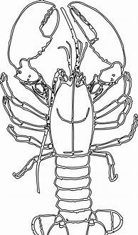 Image result for Lobster Printables