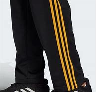 Image result for Black and Gold Adidas Pants