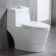 Image result for 19 High Toilet Home Depot