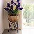 Image result for Flower Stand