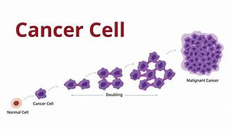 Image result for Stages of Cancer Cell